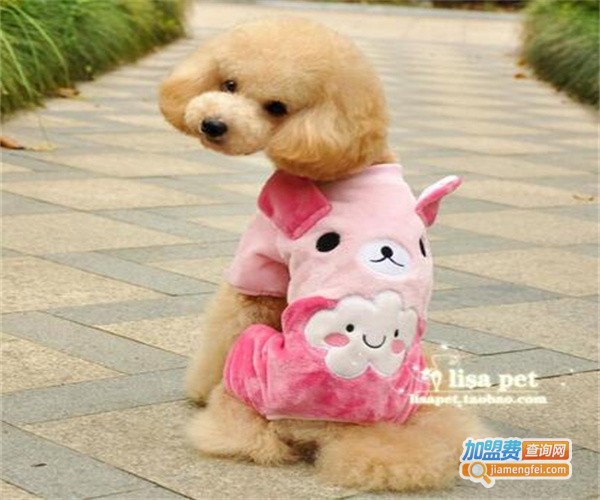 哈贝宠物用品加盟费