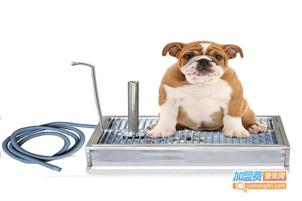 神悦宠物用品加盟