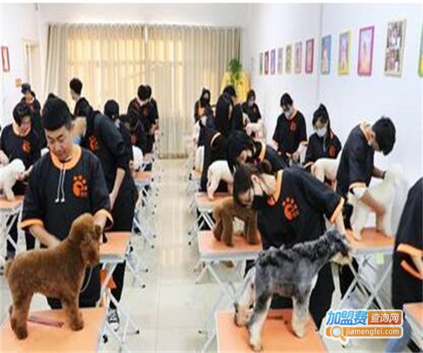 兜沃宠物职业培训机构加盟费