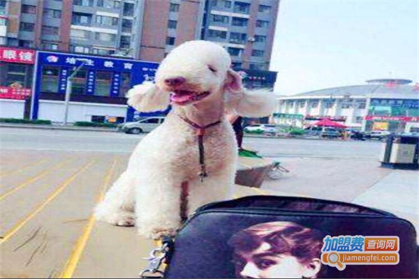 神悦宠物用品加盟