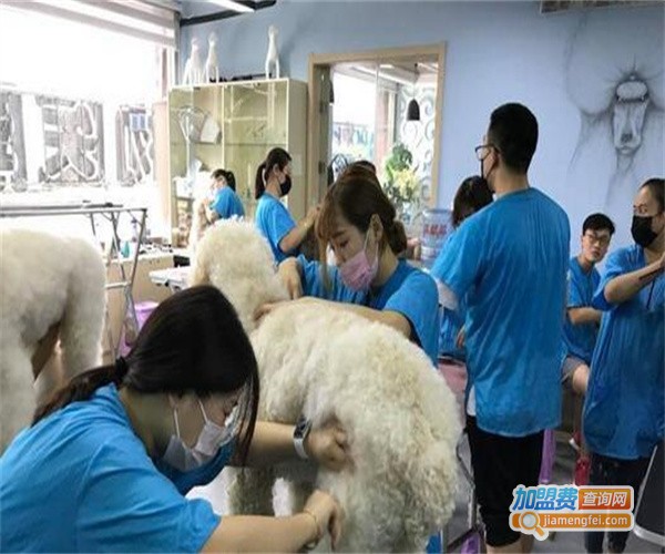 兜沃宠物职业培训机构加盟费