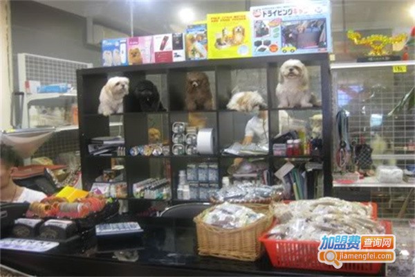 乖乖宠宠物店加盟