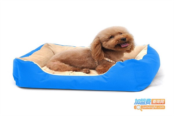 乐比宠物用品加盟