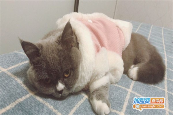 莱德宠物诊所加盟