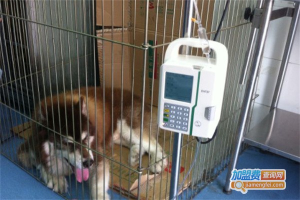 莱德宠物诊所加盟