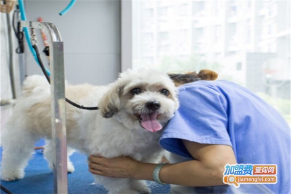 莱德宠物诊所加盟