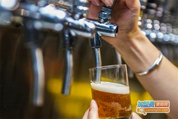 玩夫精酿啤酒加盟