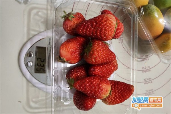 果叔叁拾加加盟