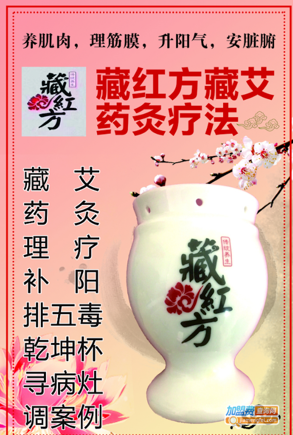 藏红方艾灸加盟