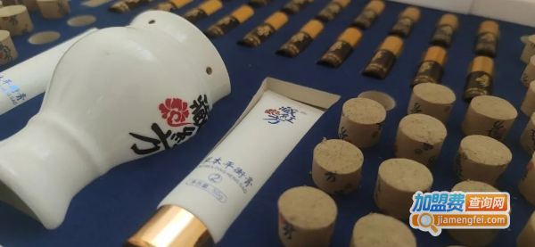 藏红方艾灸加盟