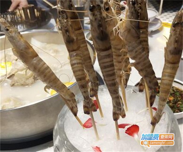 肥龙星港式打边炉加盟费