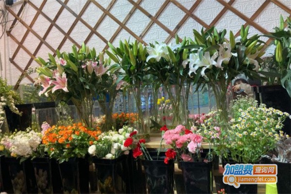 温馨鲜花坊加盟