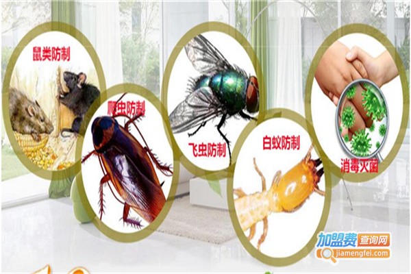 海云虫控直通车加盟