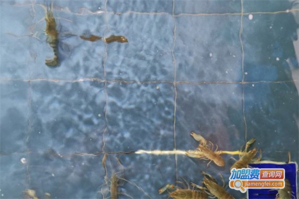 台湾第一钓虾场加盟费