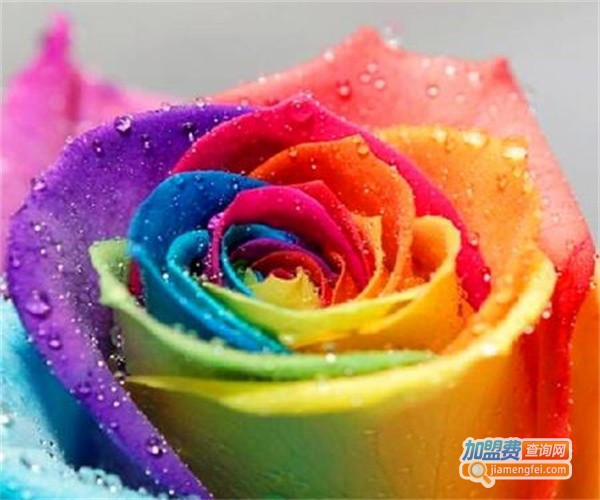 七色花卉加盟费