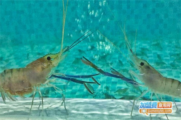 聚乐苑·钓虾休闲吧加盟费