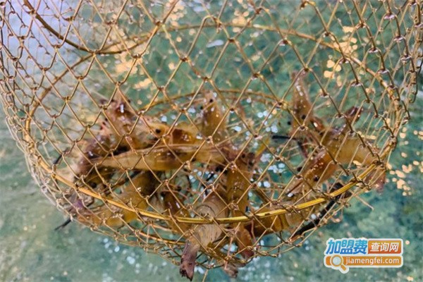 大侠钓虾馆加盟