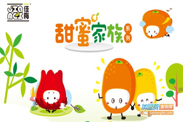 佳梅休闲食品加盟