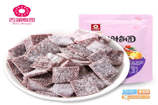 西湖梅园休闲食品加盟