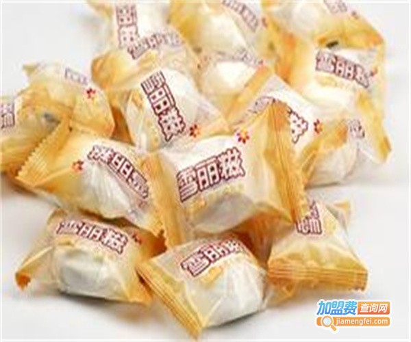 雪丽糍休闲食品加盟费