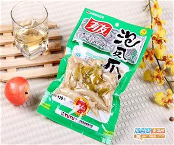 上友休闲食品加盟费