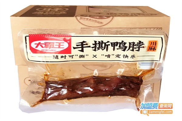 大霸王休闲食品加盟