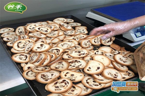 谷禾休闲食品加盟费