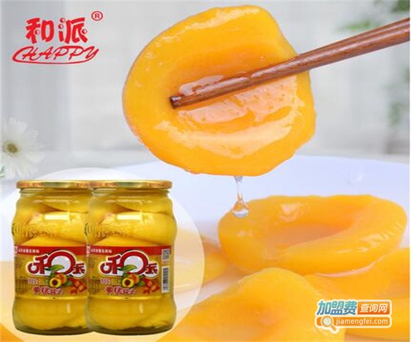 和派休闲食品加盟费