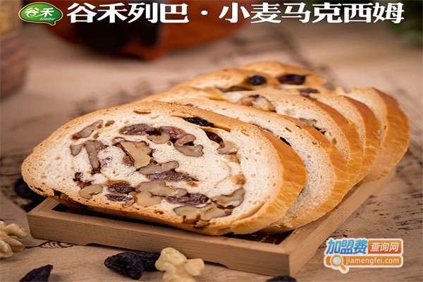 谷禾休闲食品加盟