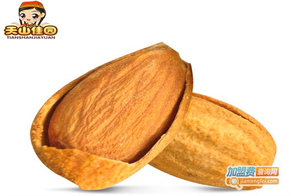 天山佳园休闲食品加盟