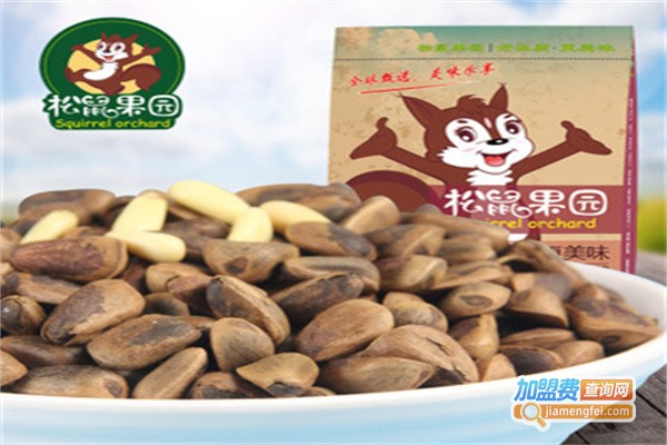 松鼠果园休闲食品加盟