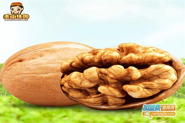 天山佳园休闲食品加盟