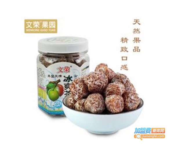 文荣果园休闲食品加盟费