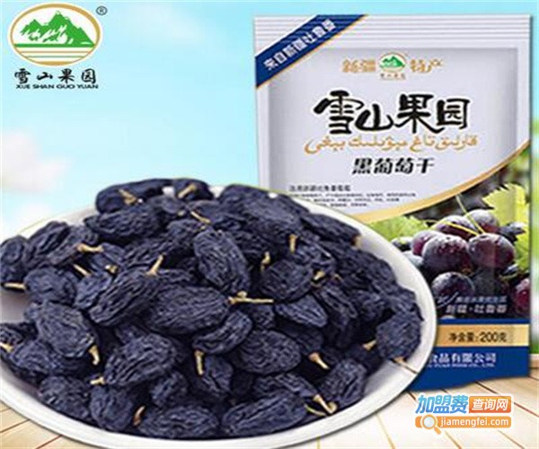 雪山果园休闲食品加盟费