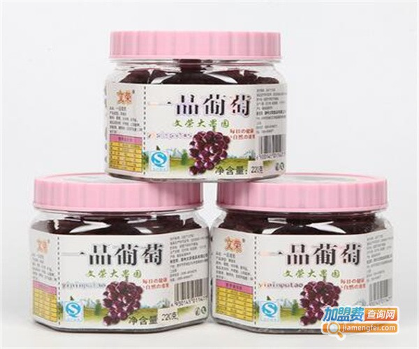 文荣果园休闲食品加盟费