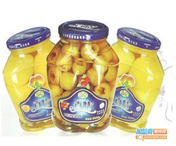 旺多多休闲食品加盟费