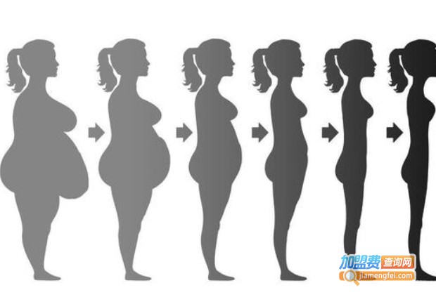 码尚减肥吧加盟费