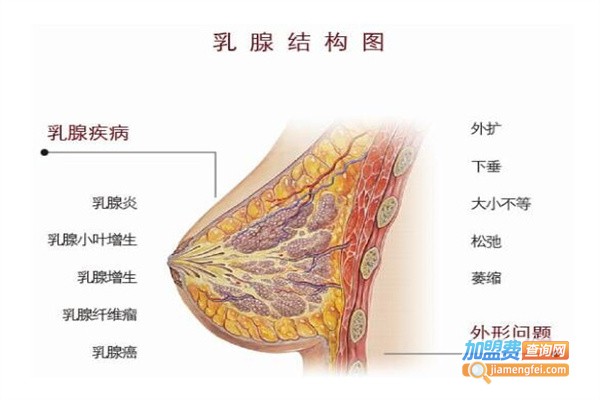 中医乳腺理疗中心加盟费