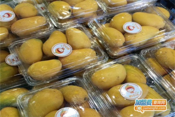 橙小呆水果专卖店加盟