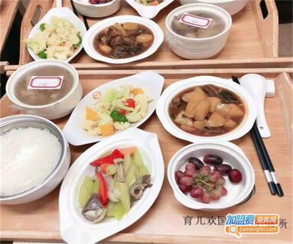 育儿欢月子中心加盟费