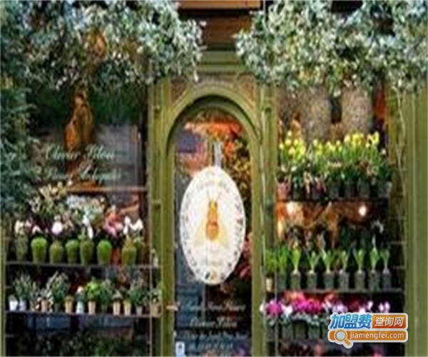 花仙女鲜花店加盟费