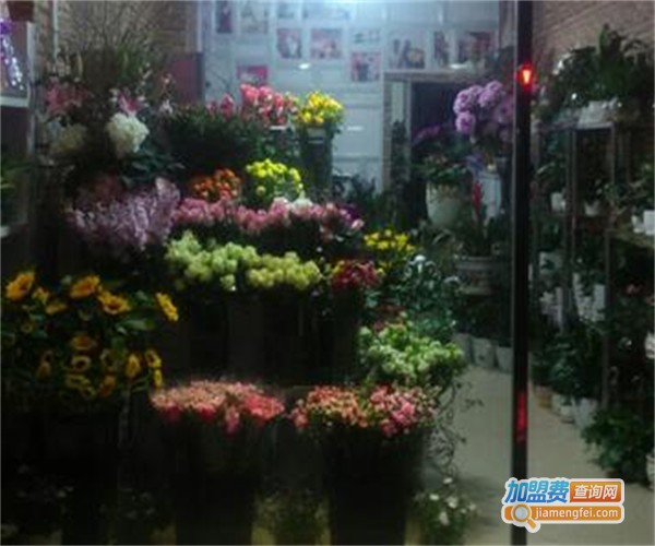 【花仙女鲜花店加盟】创业加盟花仙女鲜花店让您财运亨通！