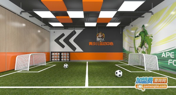 猿巨人青少儿运动中心加盟费