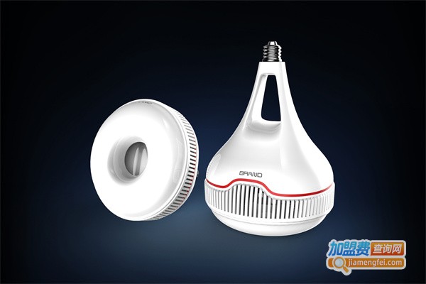 红壹佰照明加盟