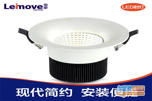 雷蒙照明