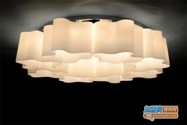 碧得森照明加盟