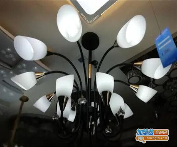 奈普照明加盟费