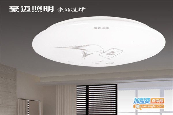 豪迈照明加盟