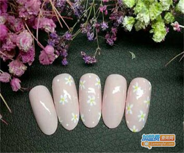 奈诗丁美甲用品加盟费