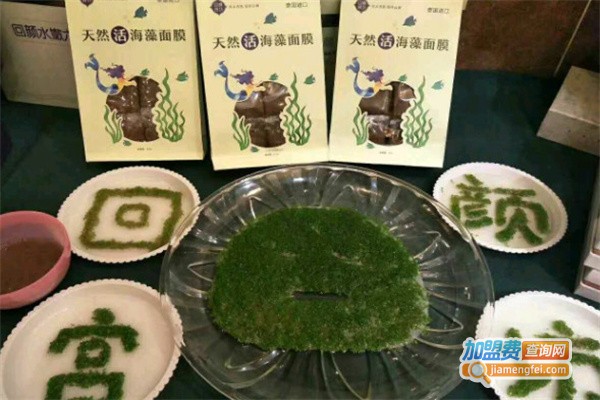 回颜宫坊加盟费